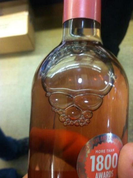 photo humour insolite