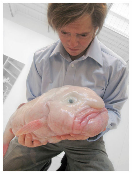 photo humour insolite poisson moche