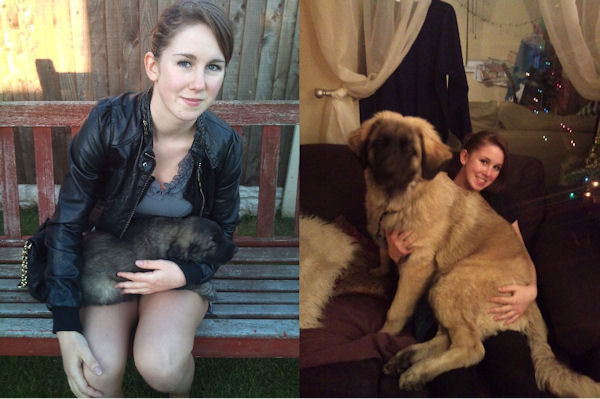 photo humour insolite fille chien genoux