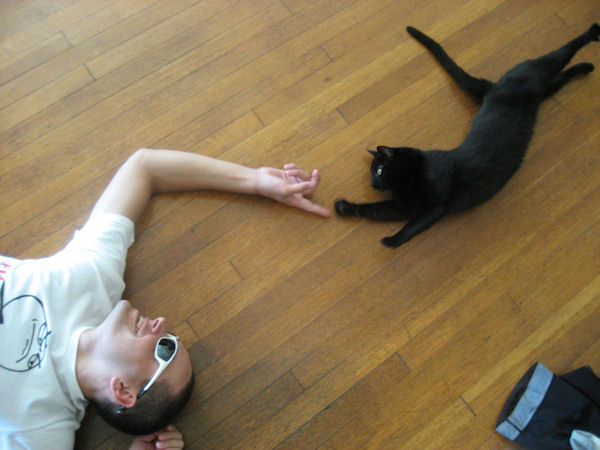 photo humour insolite