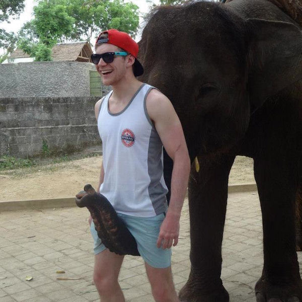 insolite elephant homme trompe