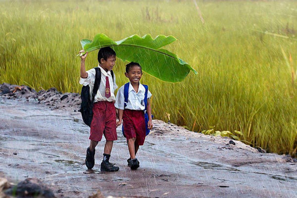 insolite enfant feuille parapluie pluie