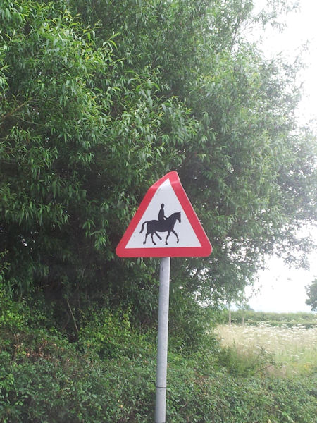 insolite cheval panneau