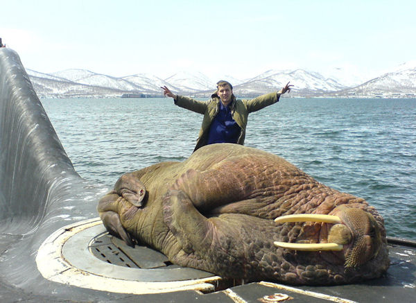 insolite morse sous-marin