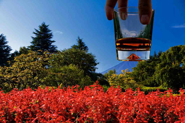 insolite montagne verre whisky