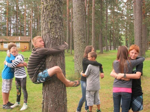 insolite arbre enlacer seul