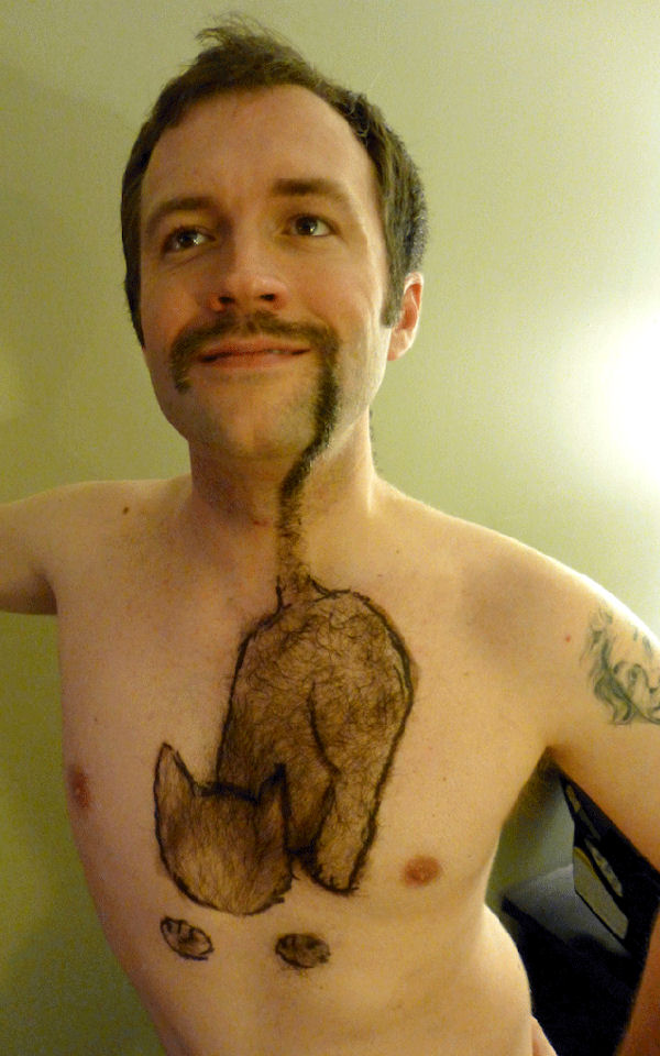 insolite chat homme moustache poil queue