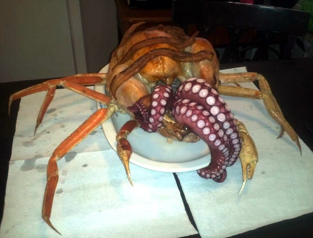 insolite crabe dinde pieuvre