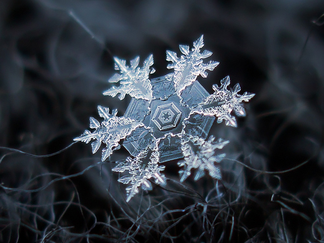 insolite flocon macro neige