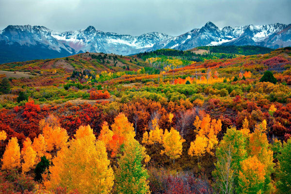 insolite automne colorado foret montagne
