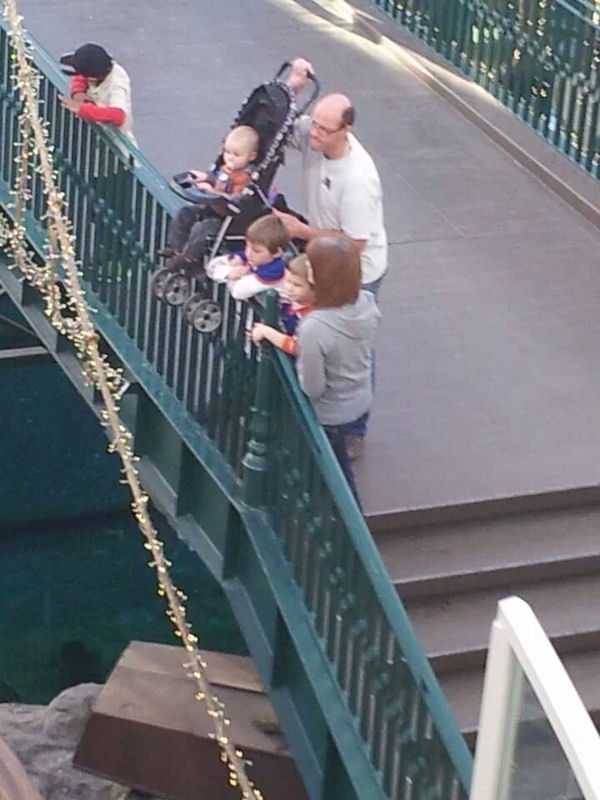 insolite bebe pont poussette rambarde