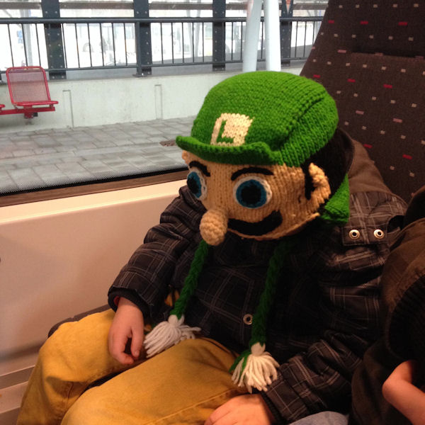 insolite bonnet luigi