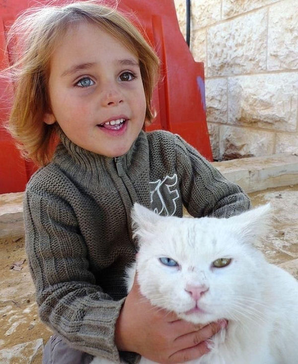 insolite chat enfant oeil vairon