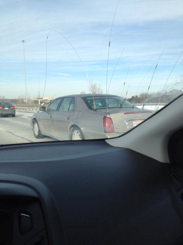 insolite antenne voiture