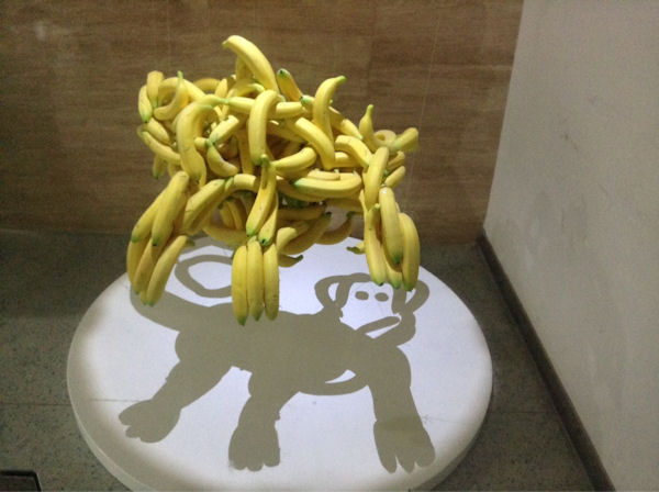 insolite banane ombre singe
