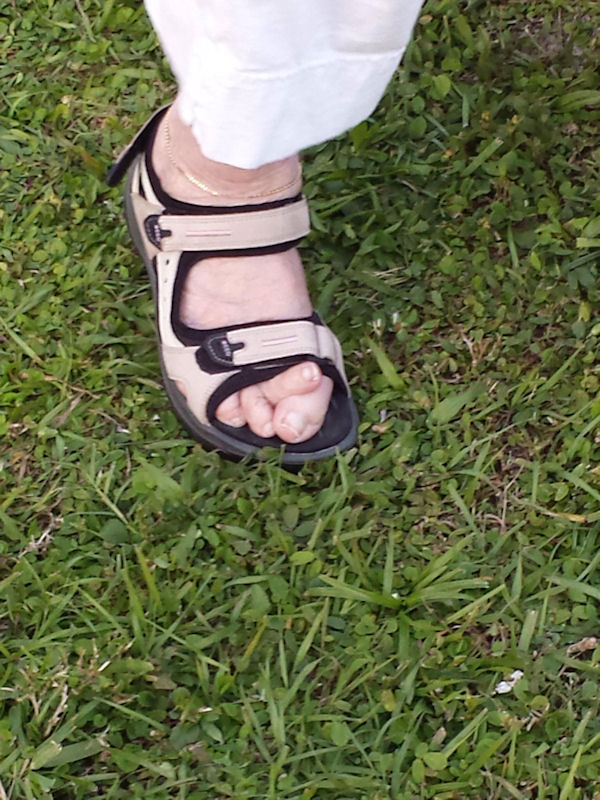 insolite orteil pied