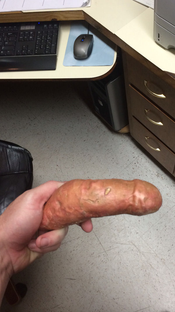 insolite patate penis pomme terre