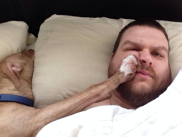 insolite chien figure lit patte