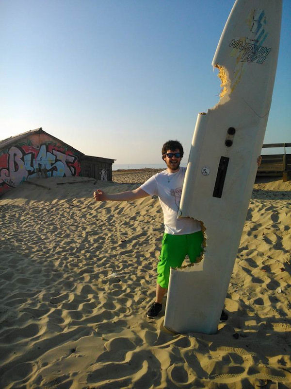 insolite morsure planche requin