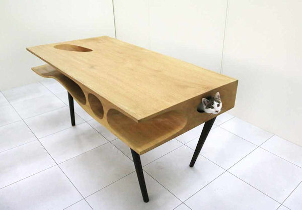insolite chat table