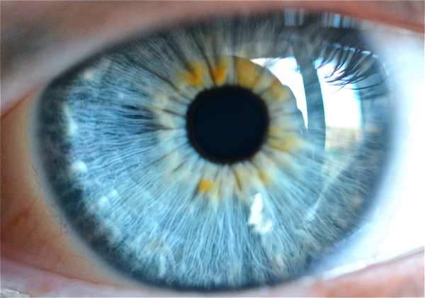 insolite iris mort oeil tete