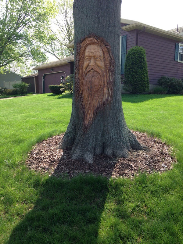 insolite arbre portrait sculpture tronc