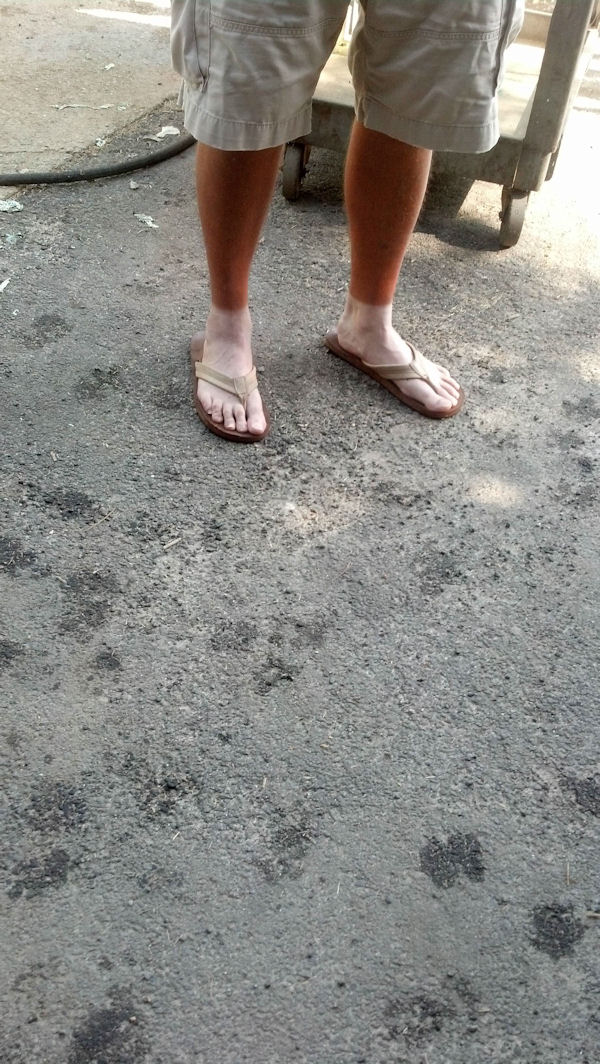 insolite bronzage chaussette jambe pied