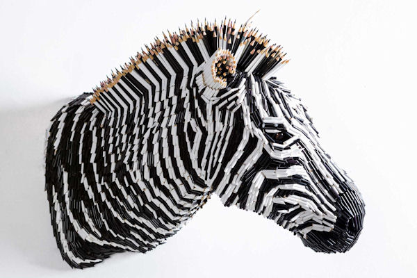 insolite crayon zebre
