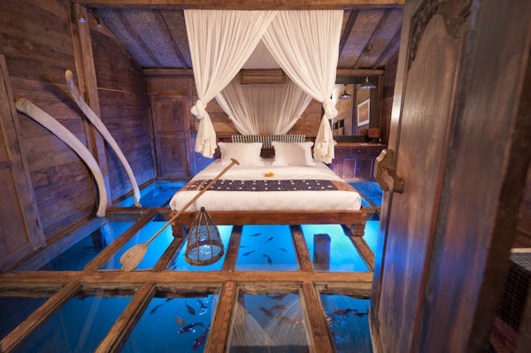 insolite chambre eau hotel poisson sol verre
