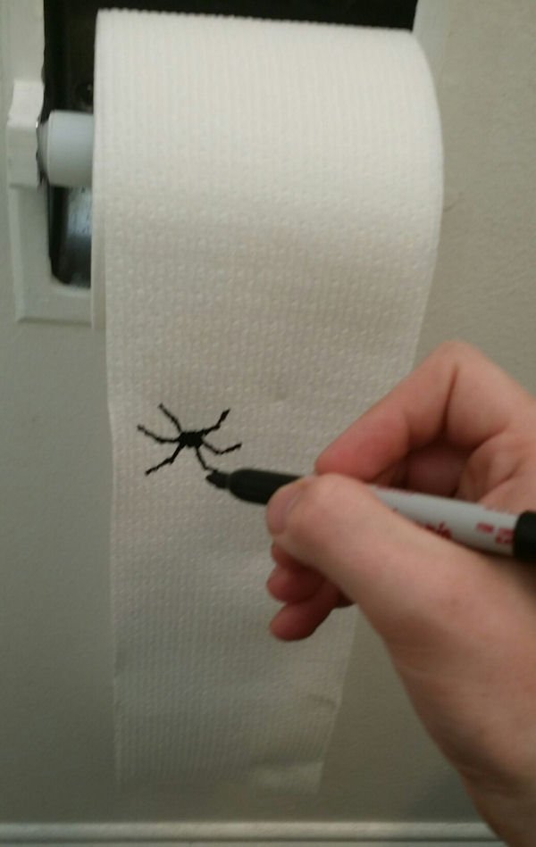 insolite araignee blague dessin papier toilette