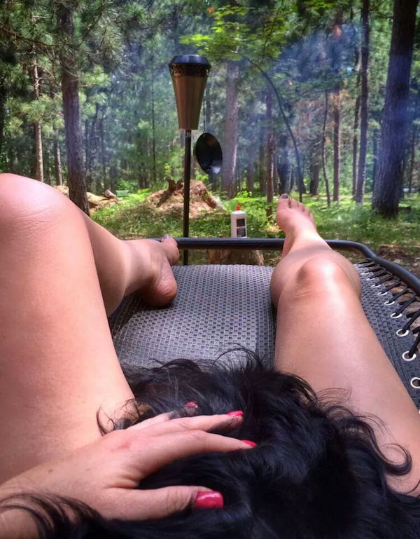 insolite chien femme jambe transat