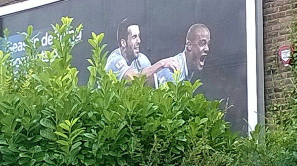 insolite affiche buisson homme pub