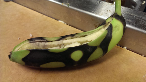 insolite banane four micro-onde