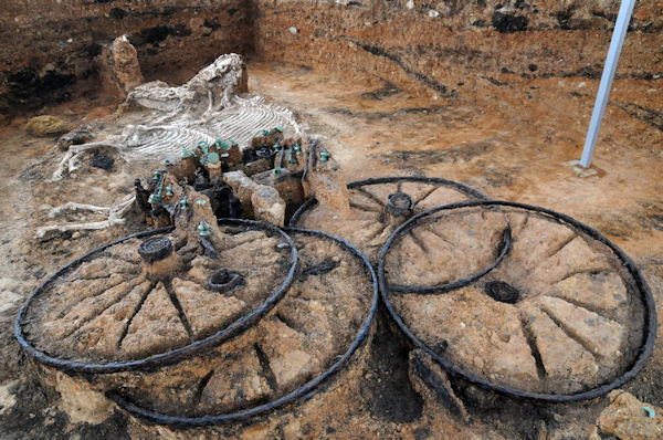 insolite chariot cheval squelette
