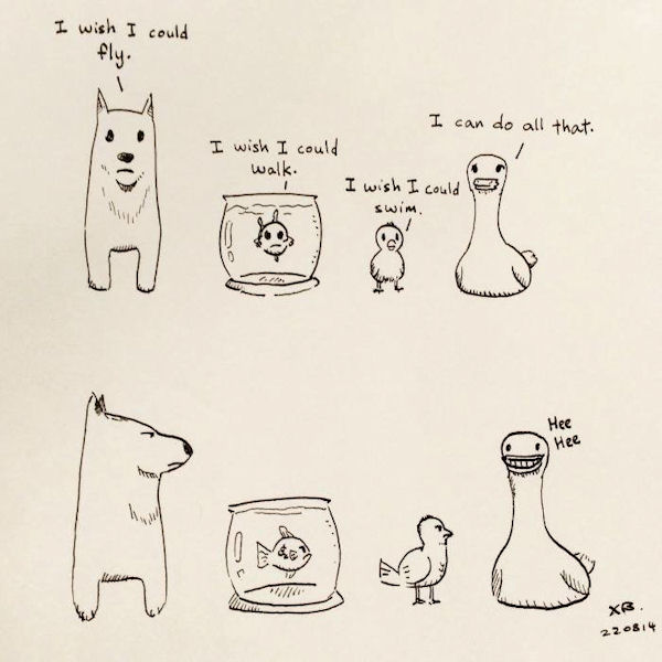 insolite canard chien oiseau poisson souhait