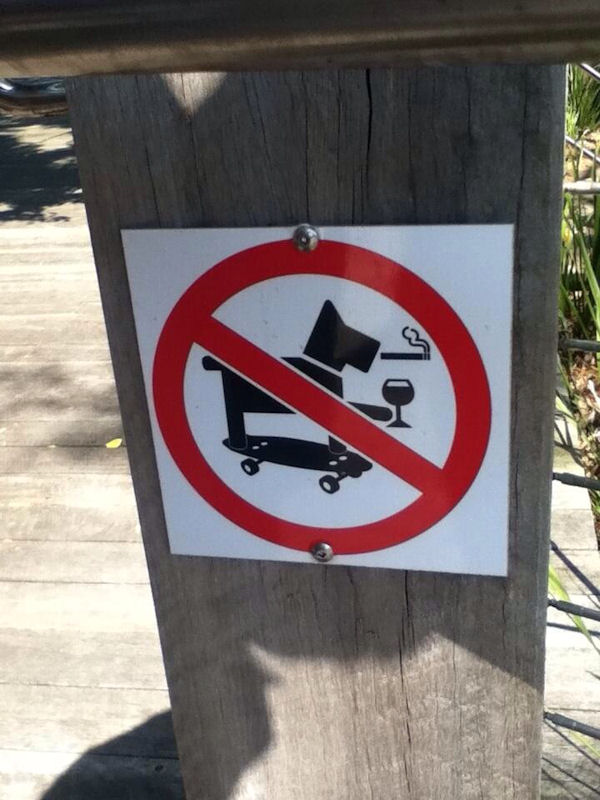 insolite chien cigarette interdiction panneau skateboard verre