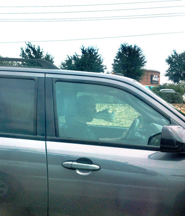 insolite bouche chaussure conducteur voiture