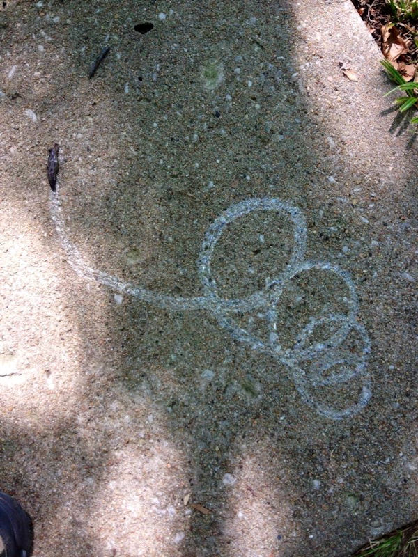 insolite burn donut limace sol trace