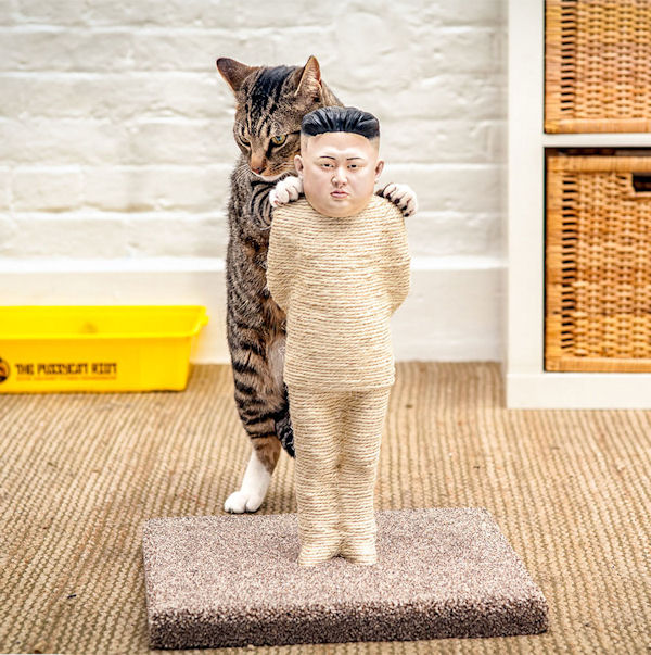 insolite chat grattoir jong-un kim