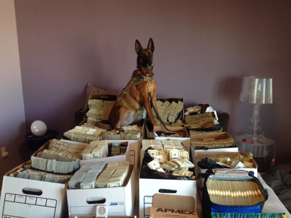 insolite argent billet boite chien lit