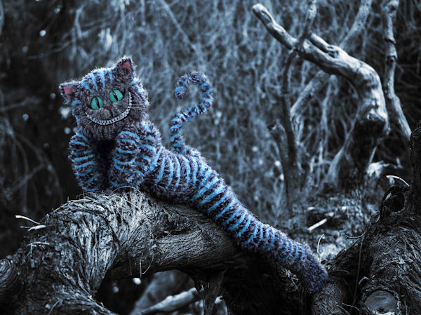insolite chat cheshire costume halloween