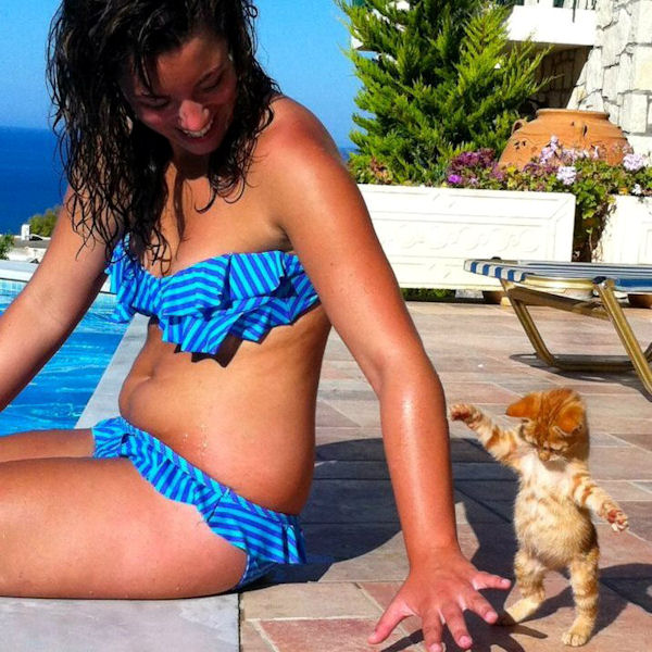 insolite chasseur chaton femme main ombre piscine