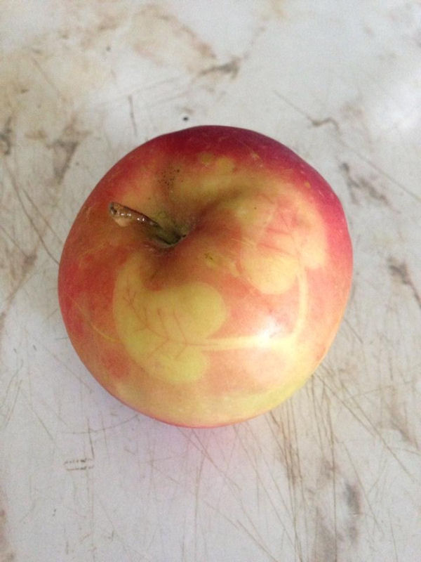 insolite feuille peau pomme