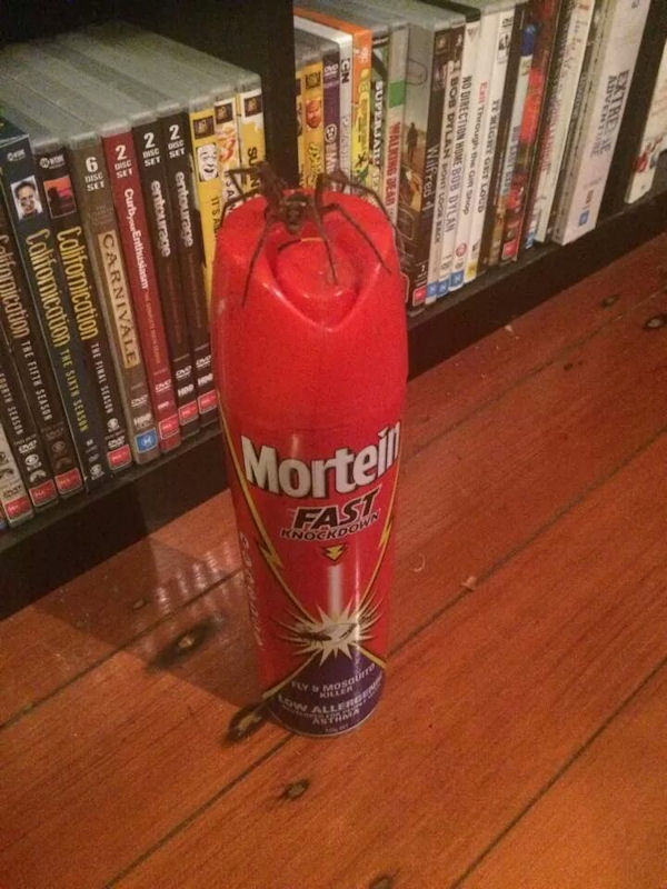 insolite araignee insecticide spray