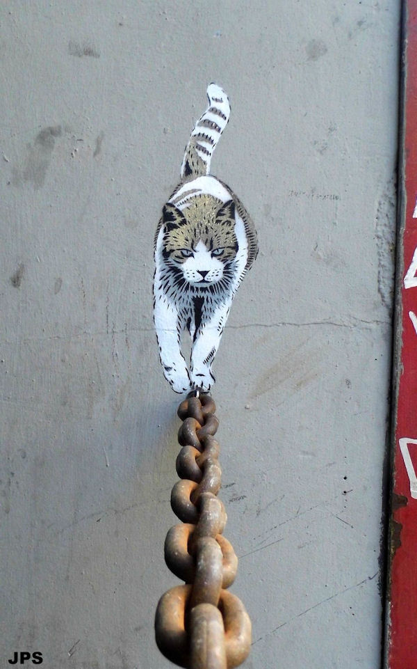 insolite chaine chat dessin mur
