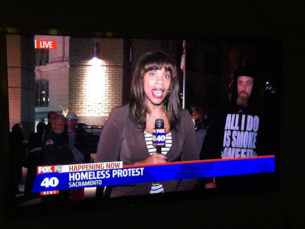 insolite cannabis direct manifestation sdf