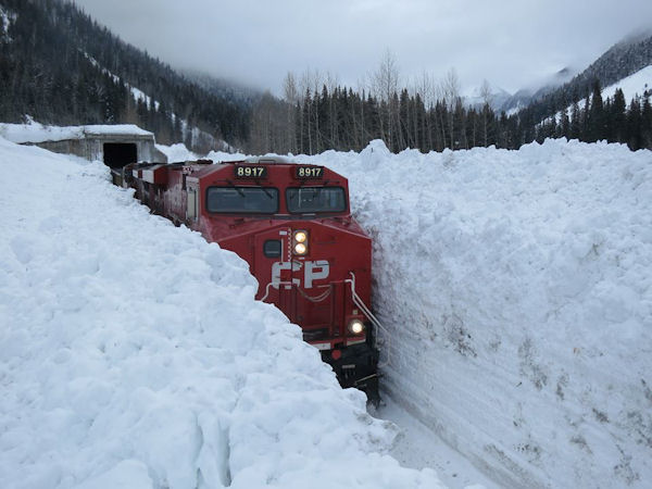 insolite neige train