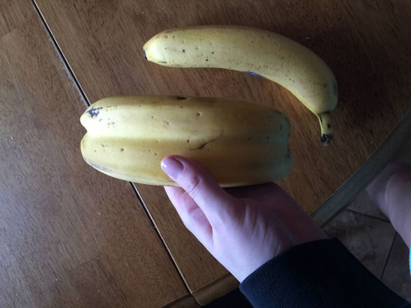 insolite banane