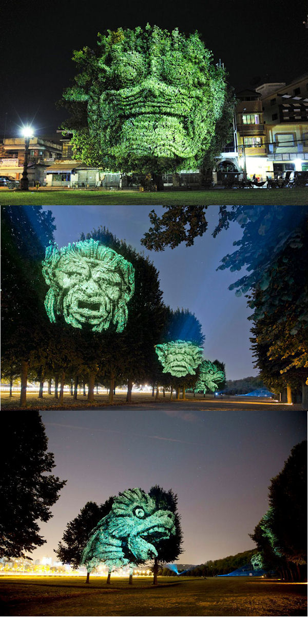 insolite 3d arbre projection