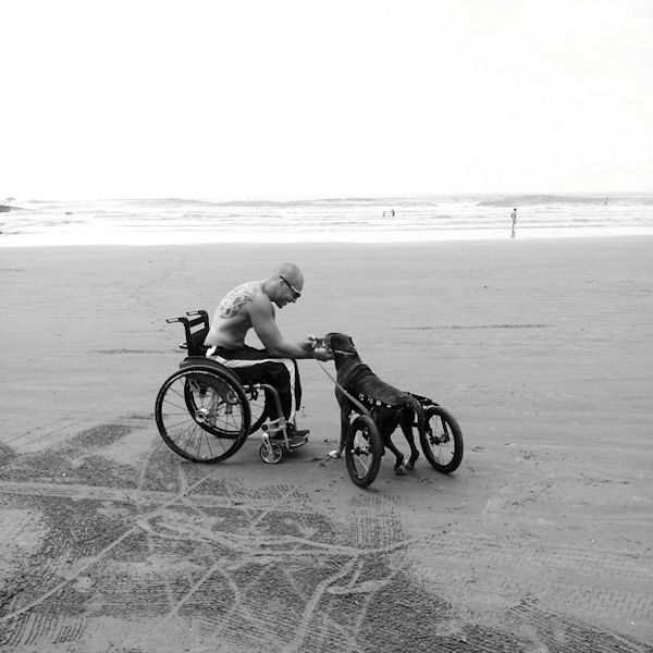 insolite chien fauteuil handicap homme plage roulant